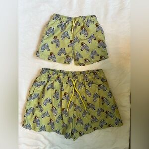 NWOT Green Zebra Print Shorts Set